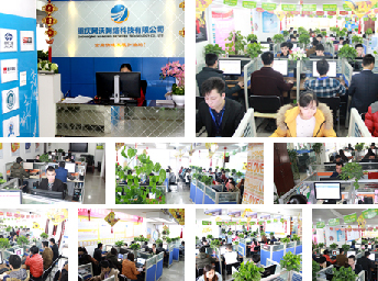 重慶市網站建設、網絡推廣與軟件開發 一站式技術服務全解析