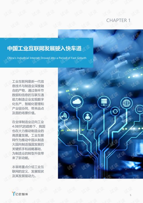 賽意信息專項研究 電子信息產(chǎn)業(yè)工業(yè)互聯(lián)網(wǎng)發(fā)展報告